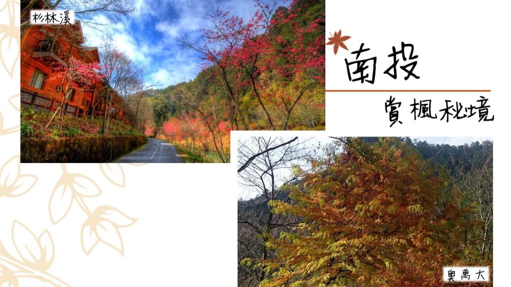 2017台灣楓葉_南投賞楓秘境