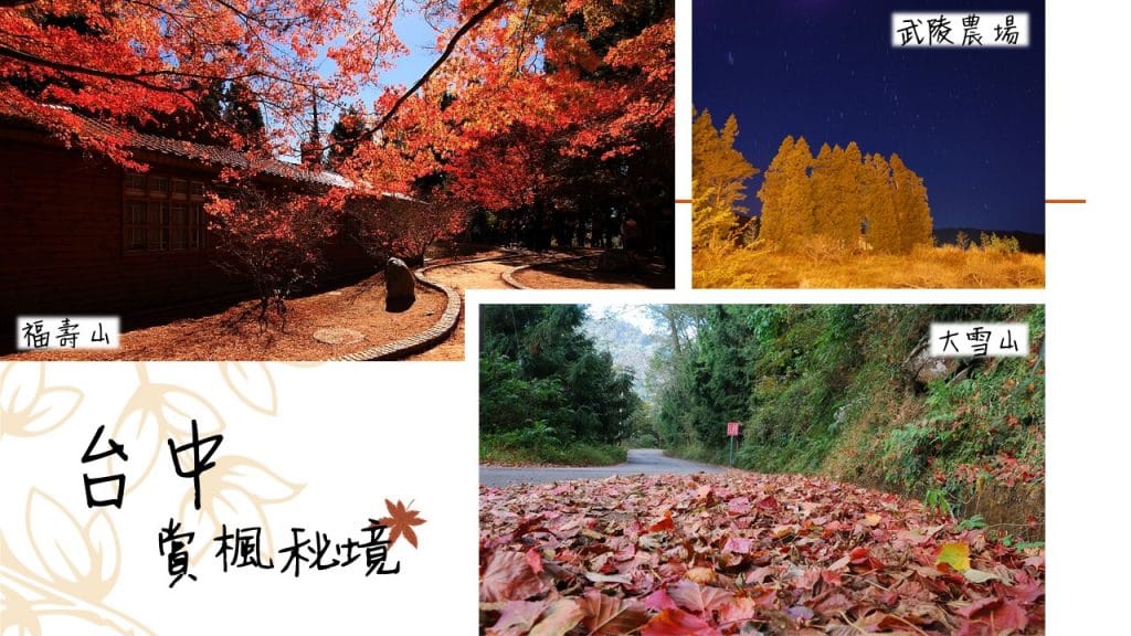 2017台灣楓葉_台中賞楓秘境