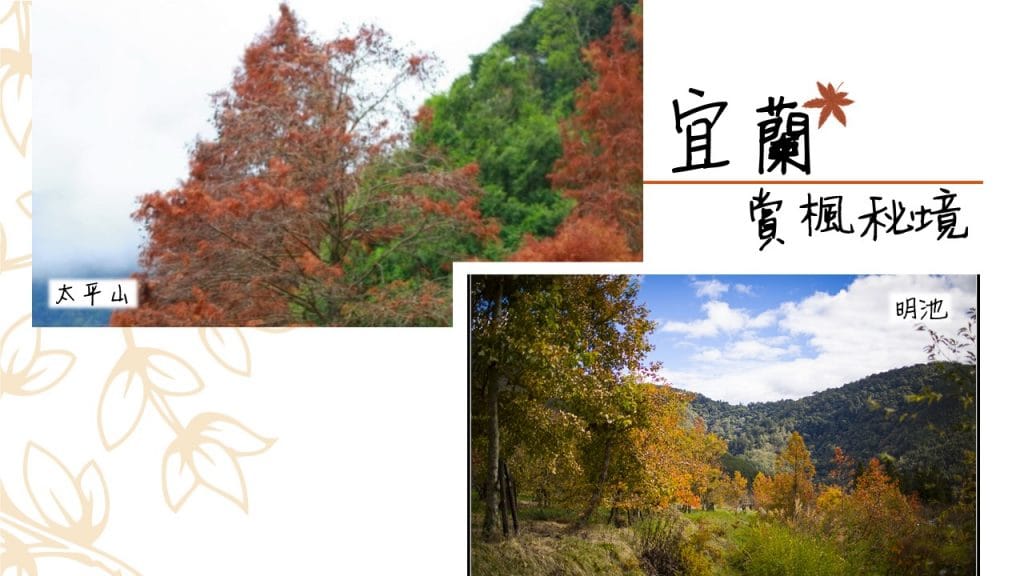 2017台灣楓葉_宜蘭賞楓秘境