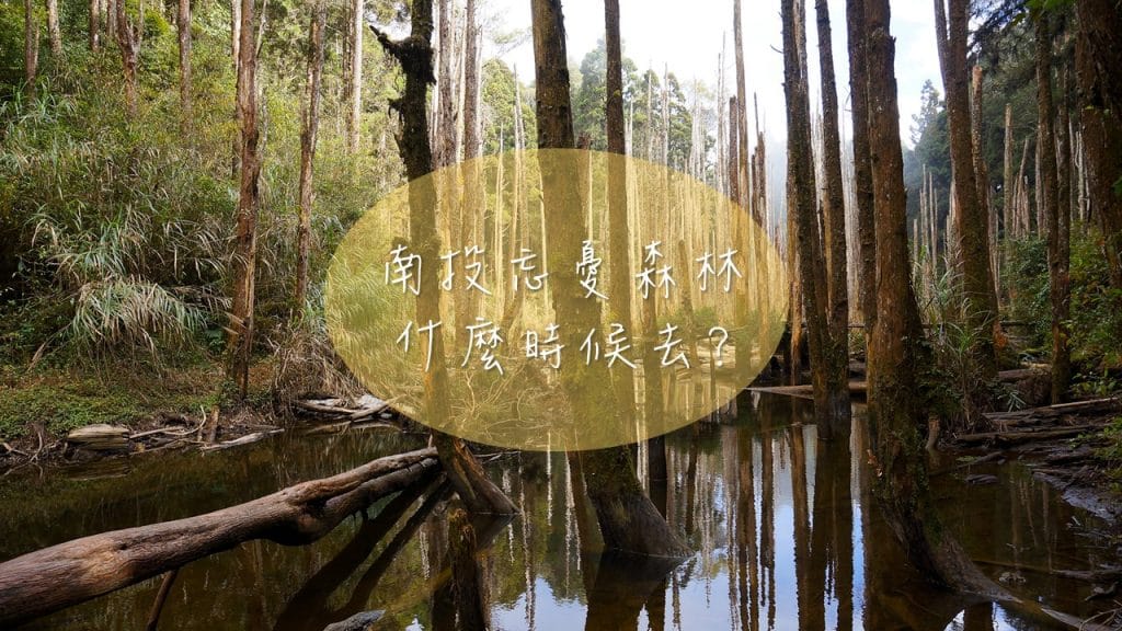 南投忘憂森林什麼時候去