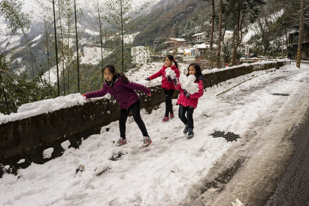台灣下雪賞雪景點No. 1 ：拉拉山