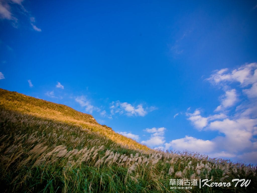 草嶺古道芒花季_草嶺古道